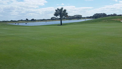 Course greens with lake in the background